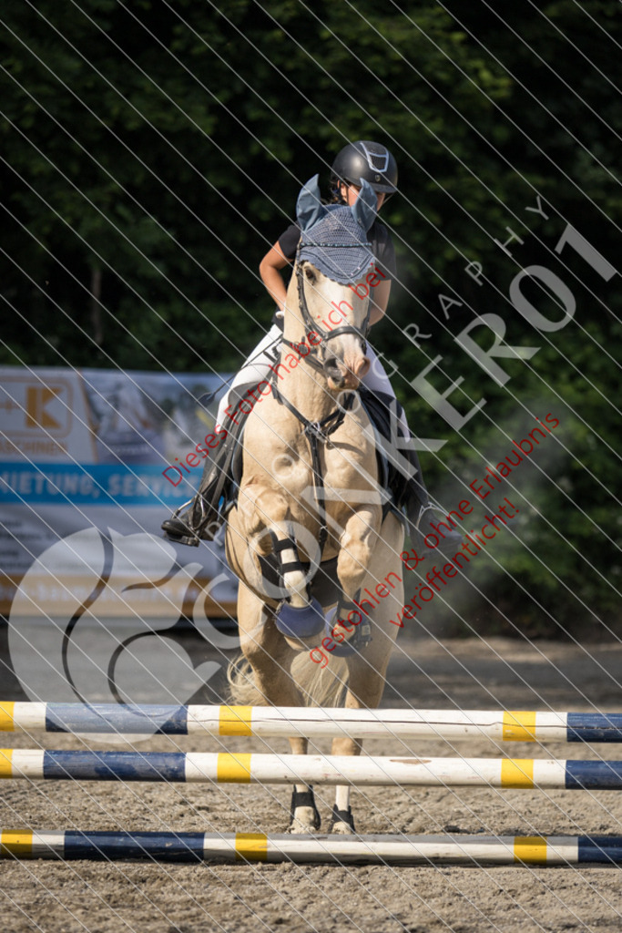 IMG_5924 | Sport-, Event- und Tierfotos in Profiqualität. Einfach auswählen, bestellen und herunterladen. Dein Moment – perfekt festgehalten.