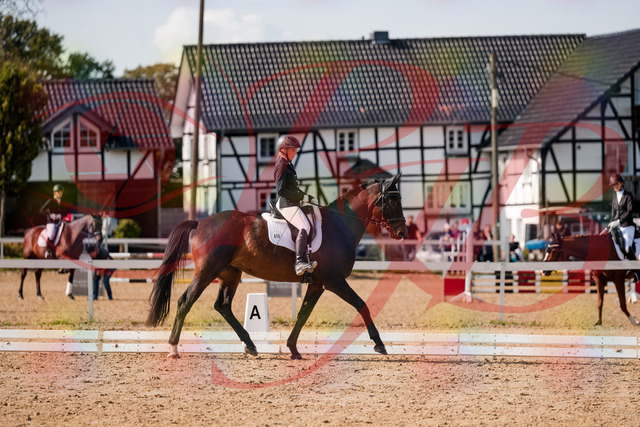 2026_10_03_Siefer-Hof_133611_Z63_96243848 | Professionelle Reitsport-, Turnier- und Eventfotografie von Robert Broda. Galerien mit ausgewählten und bearbeiteten Bildern direkt online ansehen und bestellen.