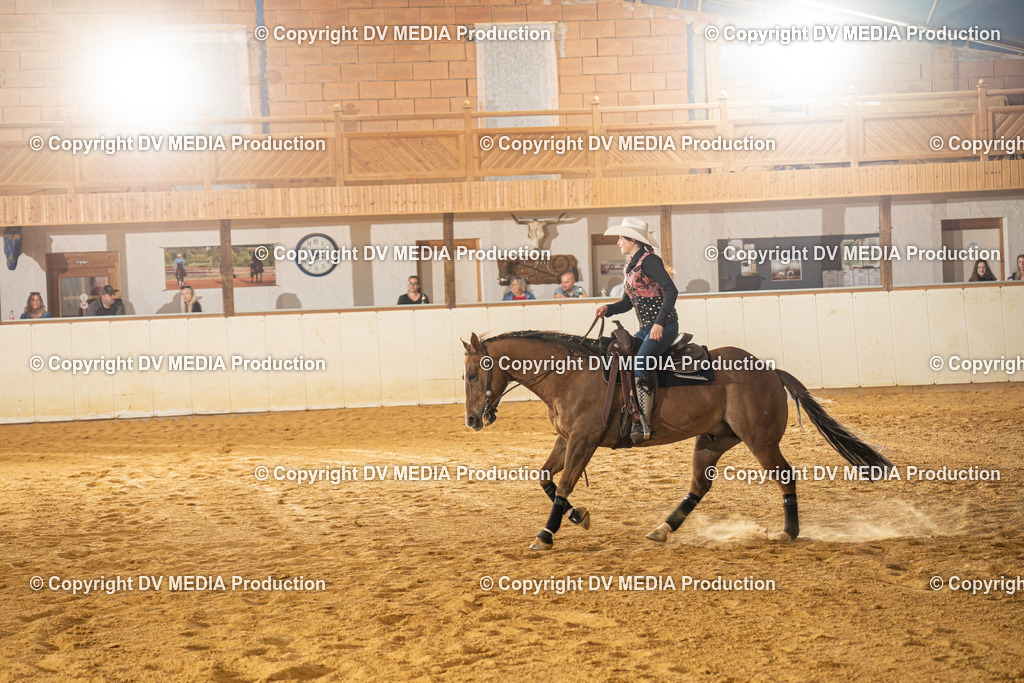 MIT00435 | dv-media-shop - Realisiert mit Pictrs.com