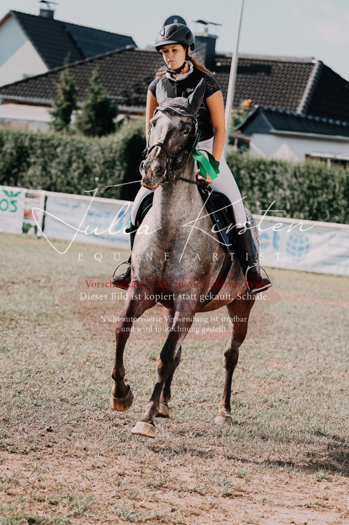 DSC_4958 | Pferde- und Turnierfotografie in Westsachsen. Pferdeportraits, Auftragszeichnungen und intuitive Kunst.