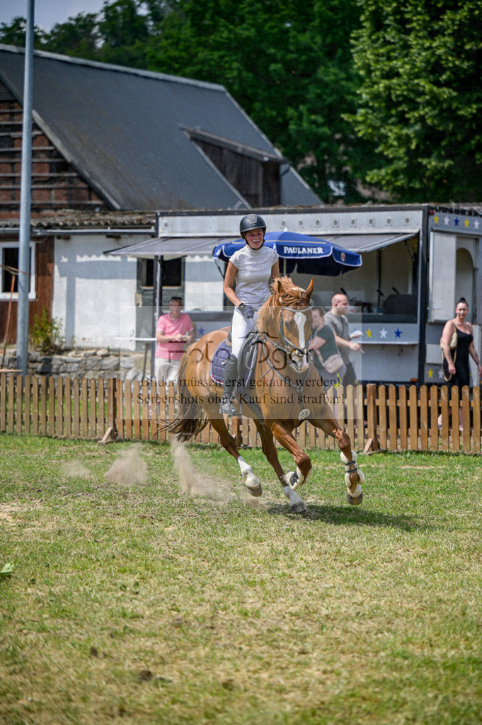 20230611-_DOS3694 | Entdecke hochwertige Reitturnierfotos von Foto Oger. Professionell, emotional und authentisch – jetzt Lieblingsmomente im Shop bestellen.Deutschlandweite Turnierfotografie. - Realisiert mit Pictrs.com