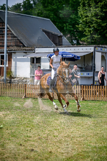 Reitturnier Voxtrup | Entdecke hochwertige Reitturnierfotos von Foto Oger. Professionell, emotional und authentisch – jetzt Lieblingsmomente im Shop bestellen. - Realisiert mit Pictrs.com