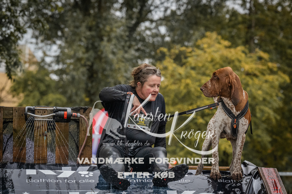 1156_ZZ93912 | kk-dogfotos
