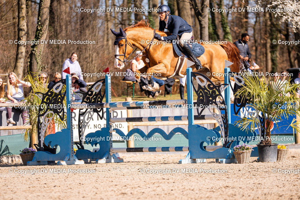 Kranichstein Tag 2-720 | dv-media-shop - Realisiert mit Pictrs.com