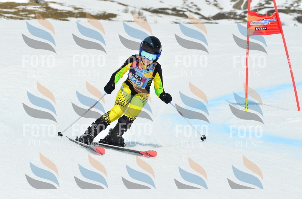 _ELE2584 | holidayphoto