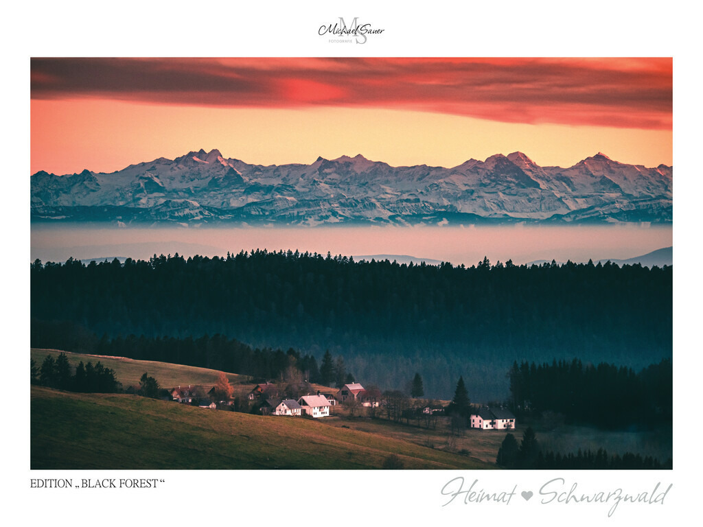Edition "BLACK FOREST" | Motiv: Alpenblick vom Ibacher Friedenskreuz, Südschwarzwald. Die beliebtesten Fotografien aus dem Schwarzwald als signierte Sonderedition. Eine exklusive Wanddekoration für alle Liebhaber von traumhaften Schwarzwaldlandschaften. Hochwertige Wandbilder in brillanter Druckqualität auf Acrylglas, Alu-Dibond und Leinwand für Ihr Zuhause – inklusive rückseitige Aufhängung.
 - Realisiert mit Pictrs.com
