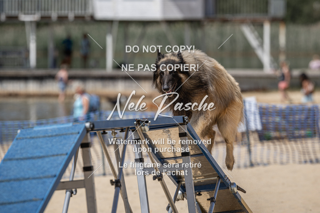 nelerasche_saBeachility_828 | nelerasche