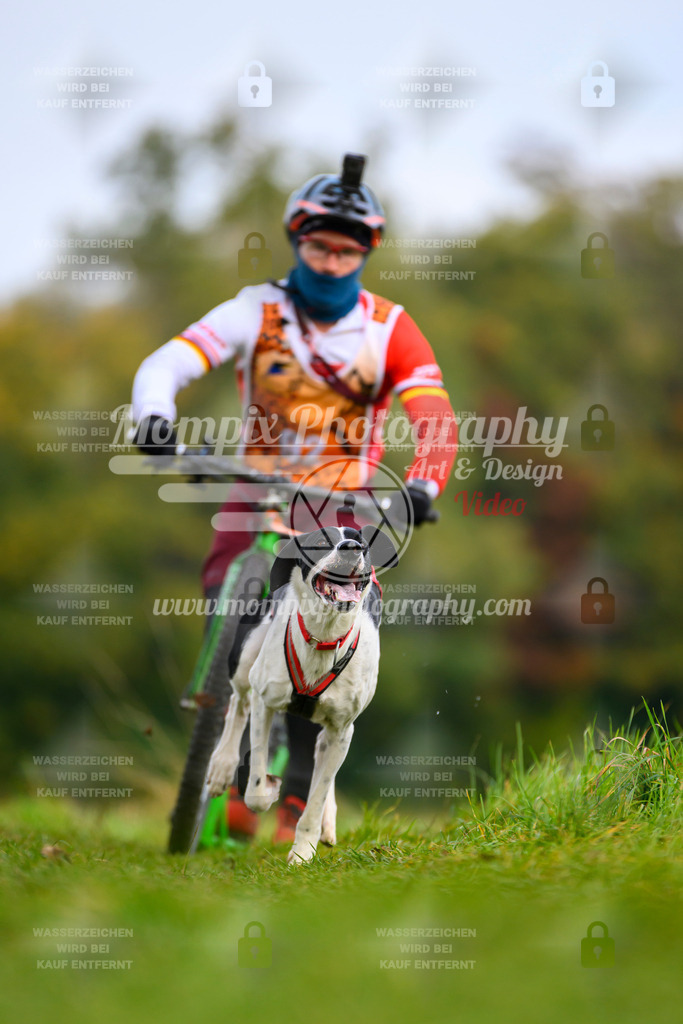 MompixPhotography_CDLBDB2025_DI_DS-61 | PayLife
