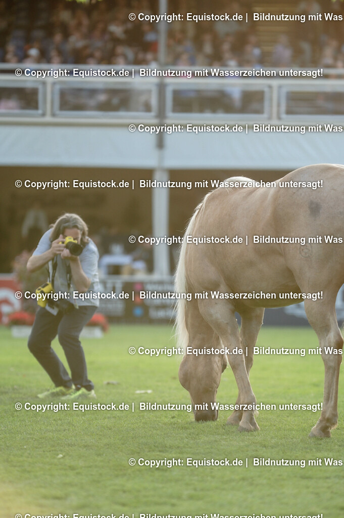 20230526_Impressionen_0354 | equistock