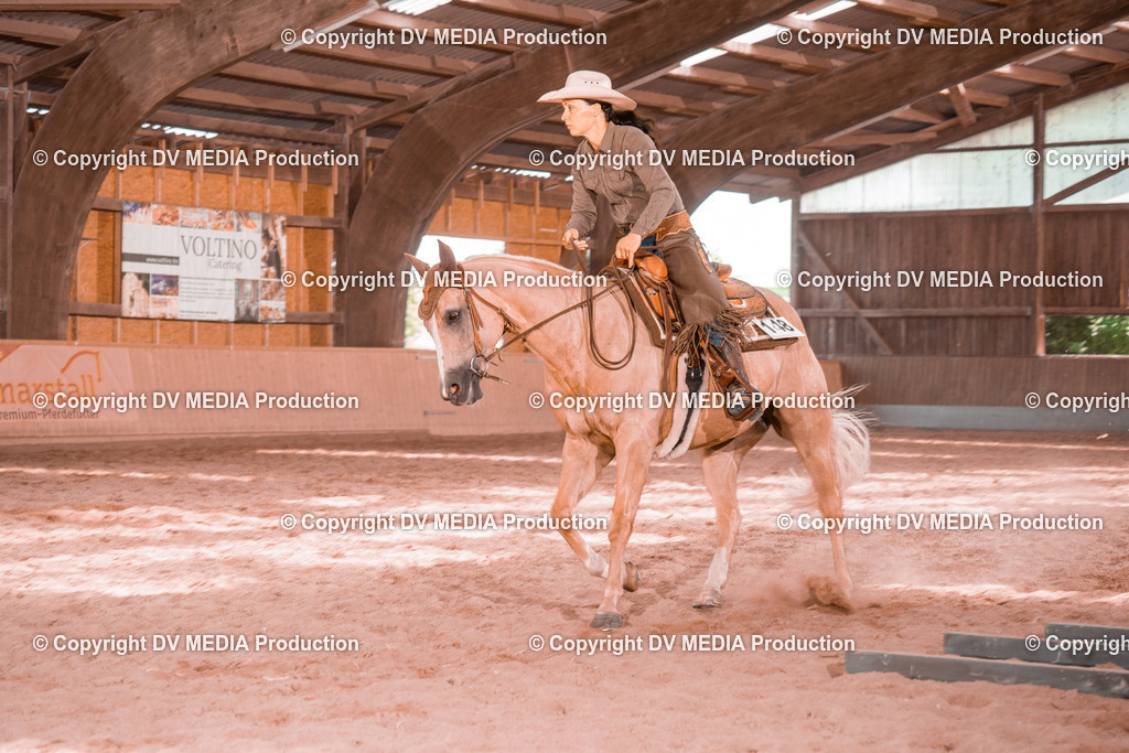 NE300616 | dv-media-shop - Realisiert mit Pictrs.com