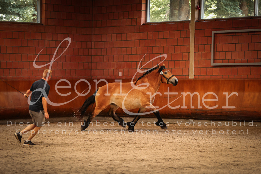 SaFL00111 | Leoni Ertmer Photography - Realisiert mit Pictrs.com