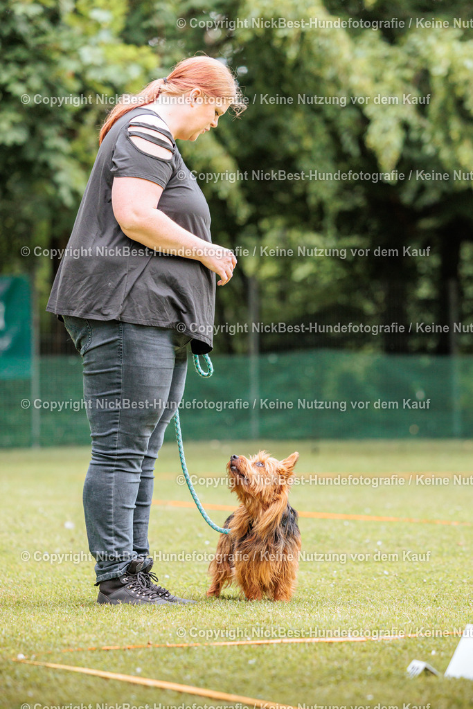 RO-Blumenthal-2026-Nickbest-Hundefotografie-2131 | Dein Hund! Dein Moment! Deine Erinnerungen! Hundefotografie in Bremen Blumenthal. Ich fange die besonderen Momente deines Vierbeiners ein – ob Indoor mit Blitzanlage oder in der freien Natur. Sicher dir dein Moment und dein Termin für eure Erinnerungen.