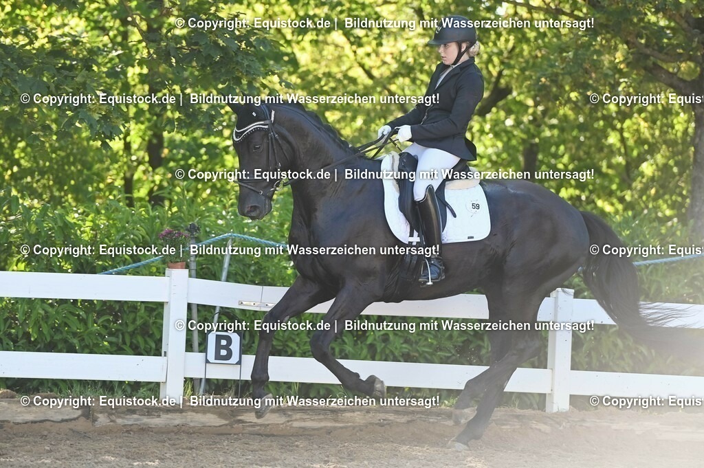 20230715_06_Dressurpferdeprfg. Kl.A_0104 | equistock