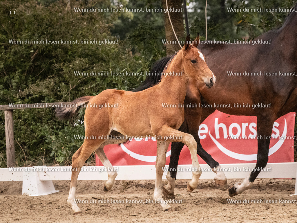 A10I6240 | photographylinaismer - Realisiert mit Pictrs.com