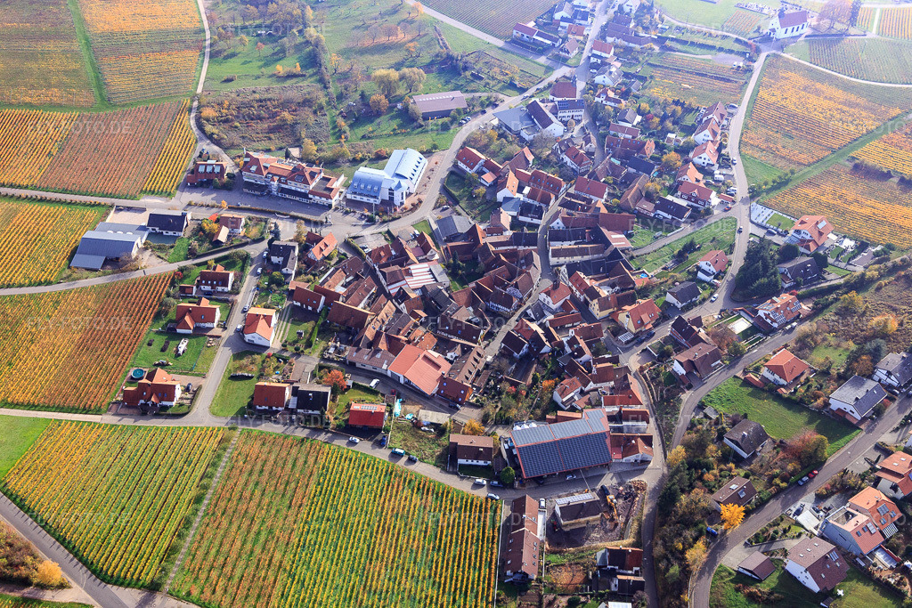 Luftbild: Winzerdorfübersicht von Westen an herbstlich gefärbten Weinbergen im Ortsteil Gleiszellen in Gleiszellen-Gleishorbach im Bundesland Rheinland-Pfalz in Deutschland. Foto: IMG_123757.jpg vom 07.11.2020 durch Werner Riehm/FLY-FOTO.de