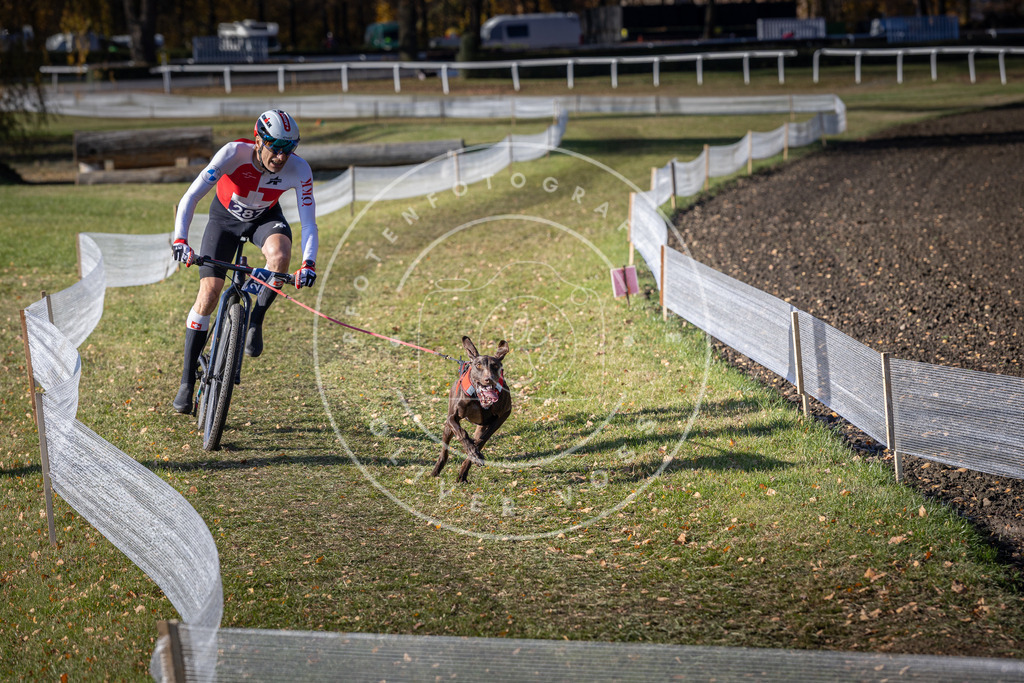 CaniXpix_DV3A5724 | Hundefotografie, Tierfotograf, Pfotenfotografie, Fotoshooting Hund, Hunde Portrait, Hundesport, Hundeportraits, Heideshooting, Hunde, Sportfotograf, Hundefotograf, Turnierhundsport, THS,  - Realisiert mit Pictrs.com