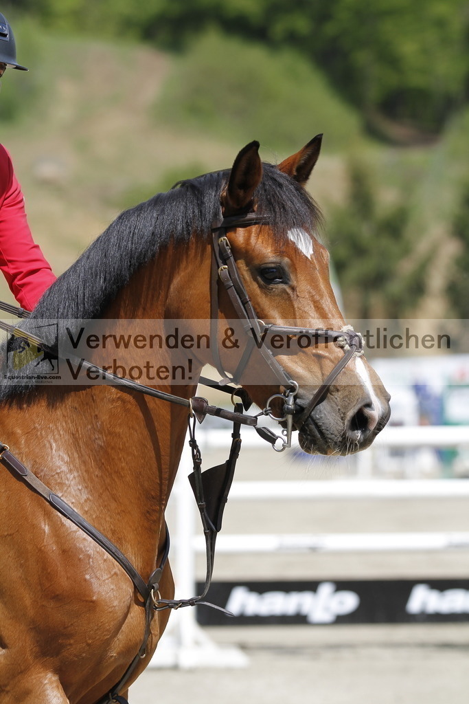 _MG_7361 | equestrian-live-com