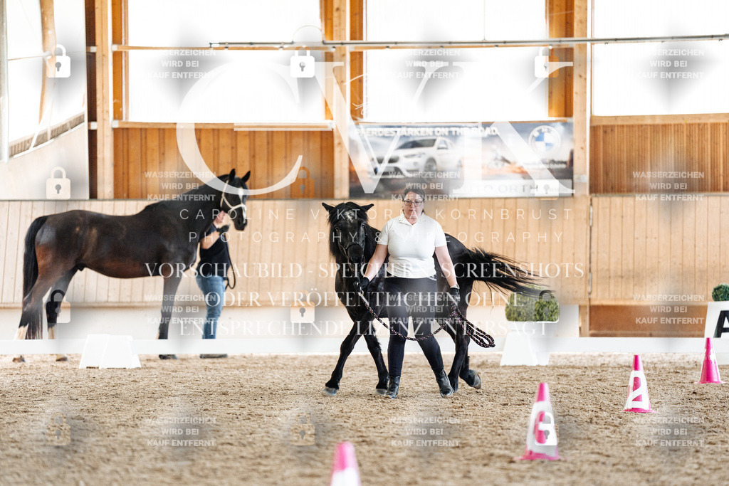 CK907519 | Turnierfotografie Pferdefotografie Trier Rheinland-Pfalz Pferdesport Reitsport Tierfotografie Sportfotografie Pferdevideo Pferdevideografie Equestrianvideography equestrianphotography  - Realisiert mit Pictrs.com