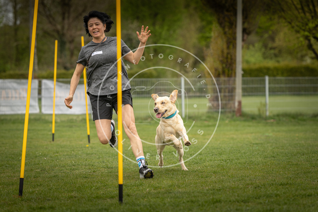 Pfotenfotografie_DV3A7964 | Hundefotografie, Tierfotograf, Pfotenfotografie, Fotoshooting Hund, Hunde Portrait, Hundesport, Hundeportraits, Heideshooting, Hunde, Sportfotograf, Hundefotograf, Turnierhundsport, THS,  - Realisiert mit Pictrs.com