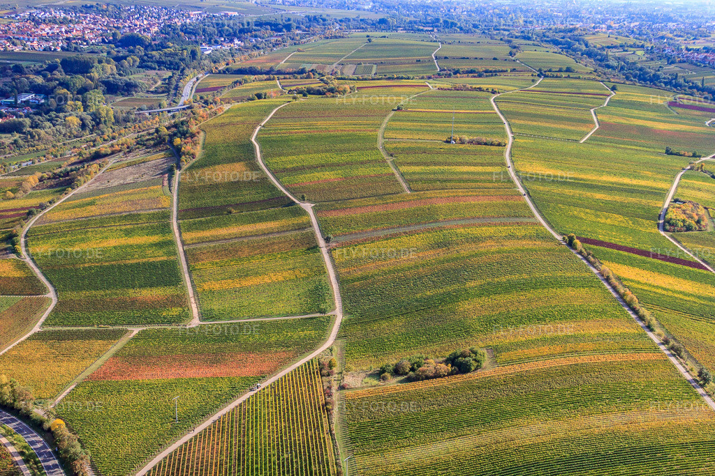 Luftbild: Weinberge am Ranschbachtal in Siebeldingen im Bundesland Rheinland-Pfalz in Deutschland. Foto: IMG_22338.jpg vom 15.10.2009 durch Werner Riehm/FLY-FOTO.de