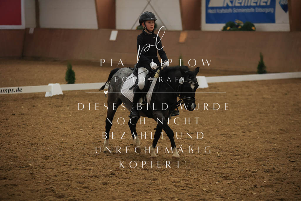 IMGT1017 | pl-fotografie