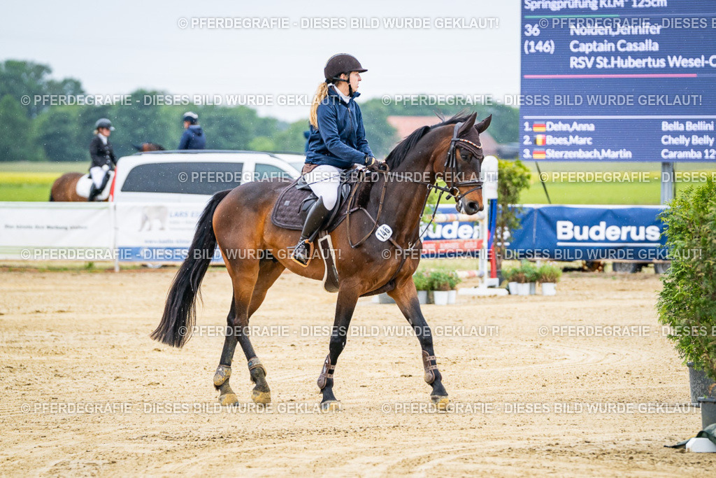 DSC07708 | Pferdegrafie