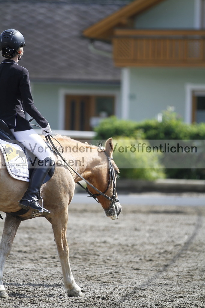 _MG_9550 | equestrian-live-com