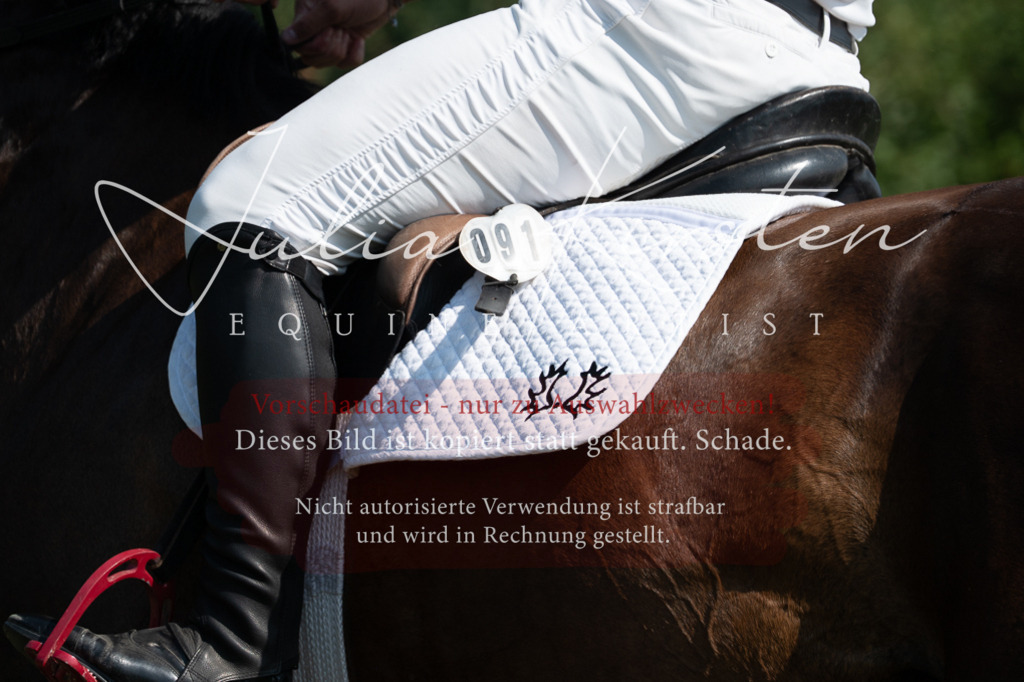 DSC_0794 | Pferde- und Turnierfotografie in Westsachsen. Pferdeportraits, Auftragszeichnungen und intuitive Kunst.