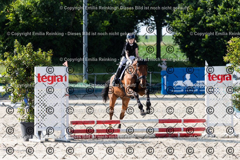 CL5A1208 | Emilia Reinking Fotografie - Realisiert mit Pictrs.com