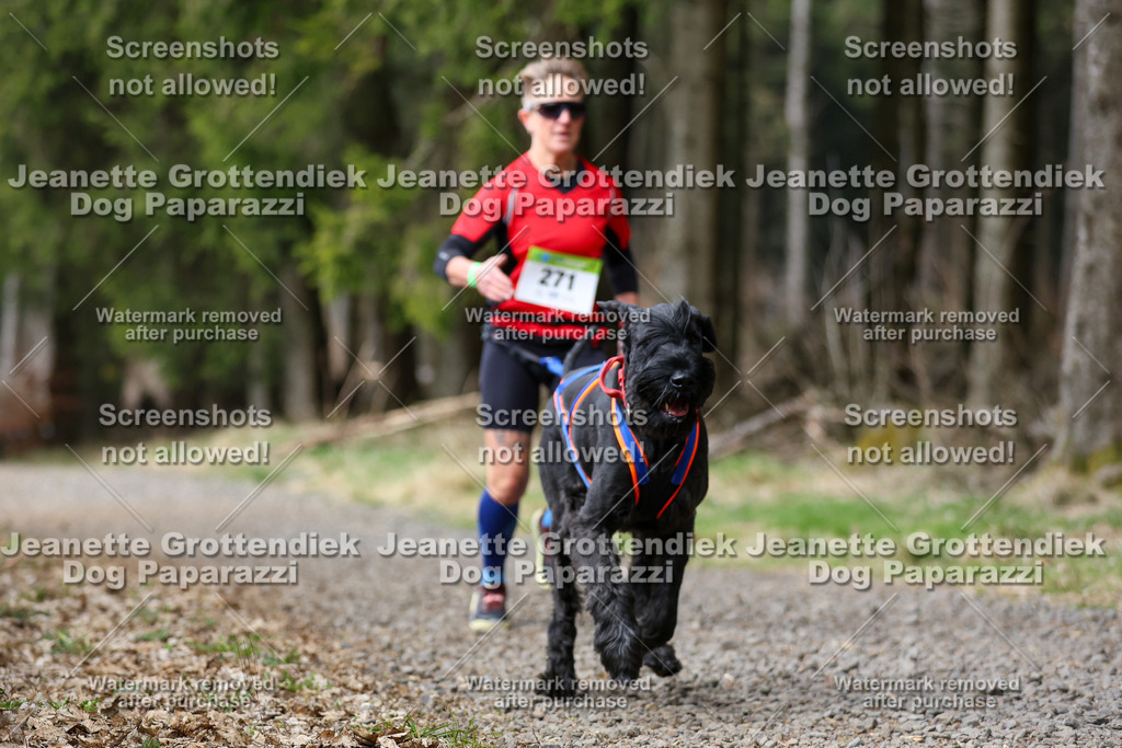 Dog Paparazzi - VCC26-394 | Dog Paparazzi Jeanette Grottendiek Fotografie & Videografie - Realisiert mit Pictrs.com