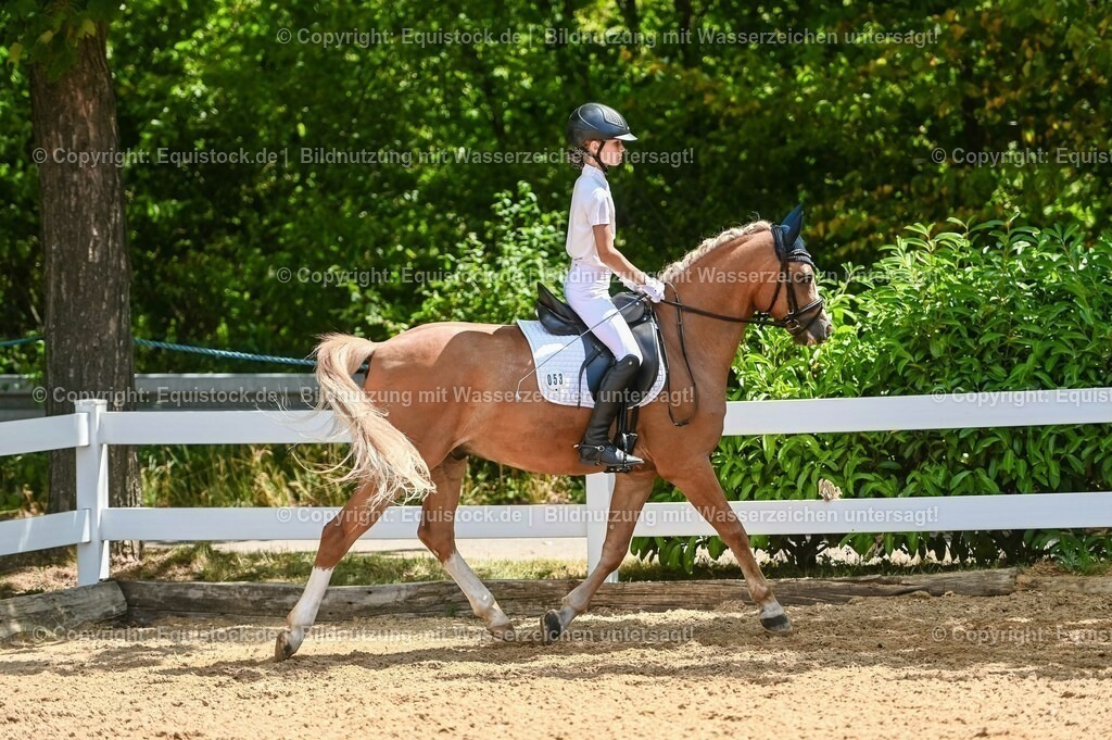 20230715_09_Dressur-WB_0245 | equistock