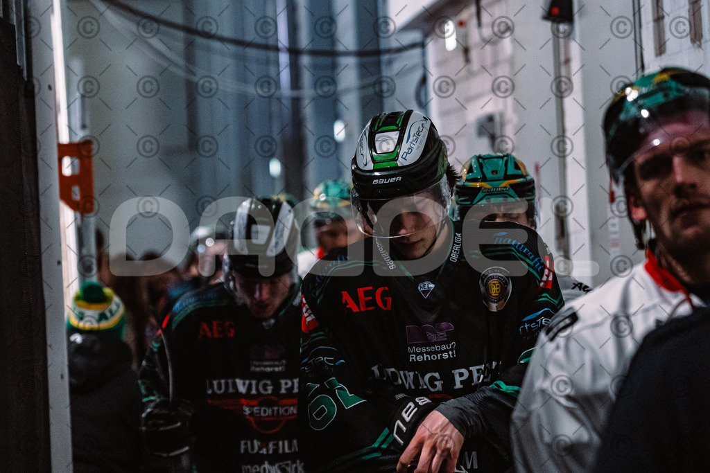 Alligators_vs_Toelz_15_02_2026-34 | Höchstadt Alligators Fotogalerie: Eishockey-Action aus Franken. Professionelle Spielfotos, Portraits & Stadionbilder zum Download. Jetzt entdecken! - Realisiert mit Pictrs.com