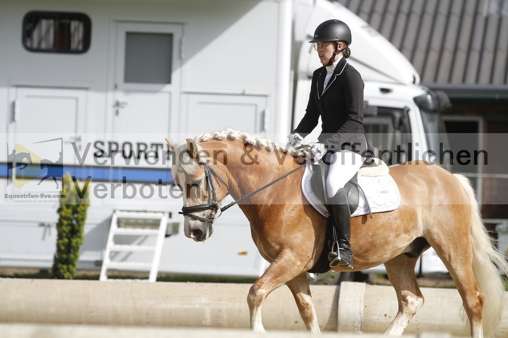 _MG_0332 | equestrian-live-com