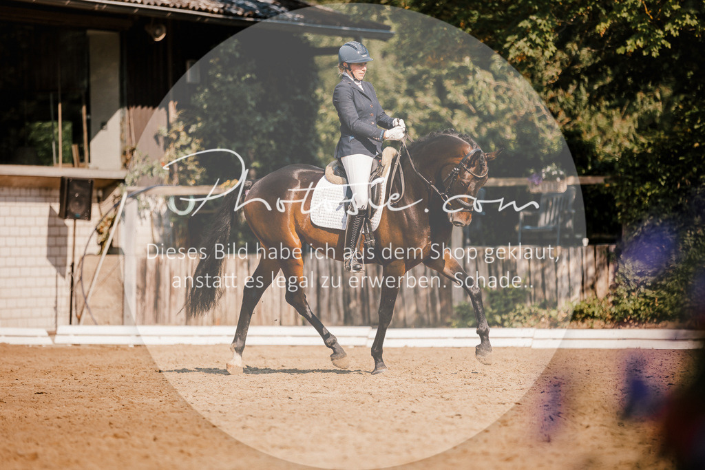 3I6A9138 | Stimmungsvolle Portraits und Reitsportfotografie im Ruhrgebiet und im Münsterland.

Pferdefotografie, Hundefotografie, Tierfotografie, Reportagen, Portraits von Tier und Mensch, Turnierfotografie in Bochum, Recklinghausen, Marl, Haltern am See, Dülmen.. - Realisiert mit Pictrs.com