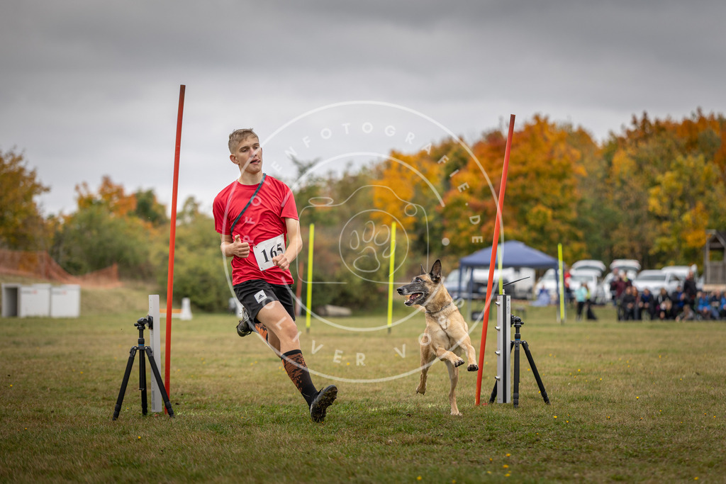 Pfotenfotografie_DV3A5278 | Hundefotografie, Tierfotograf, Pfotenfotografie, Fotoshooting Hund, Hunde Portrait, Hundesport, Hundeportraits, Heideshooting, Hunde, Sportfotograf, Hundefotograf, Turnierhundsport, THS,  - Realisiert mit Pictrs.com