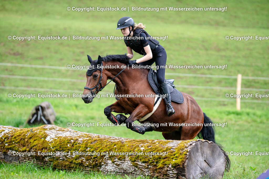 20250725_Vielseitigkeitslehrgang-Marbach_0793 | Foto: Thomas Hartig
