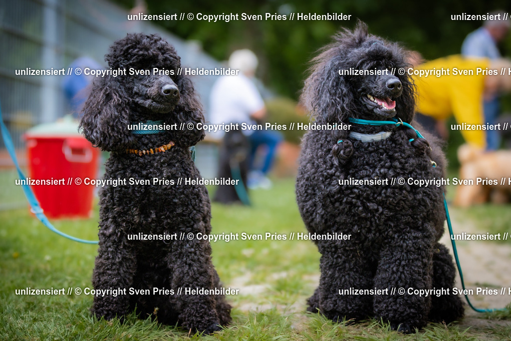 Sven Pries | 2025-05-29 - Pudelrennen KA-Durlach - Realisiert mit Pictrs.com