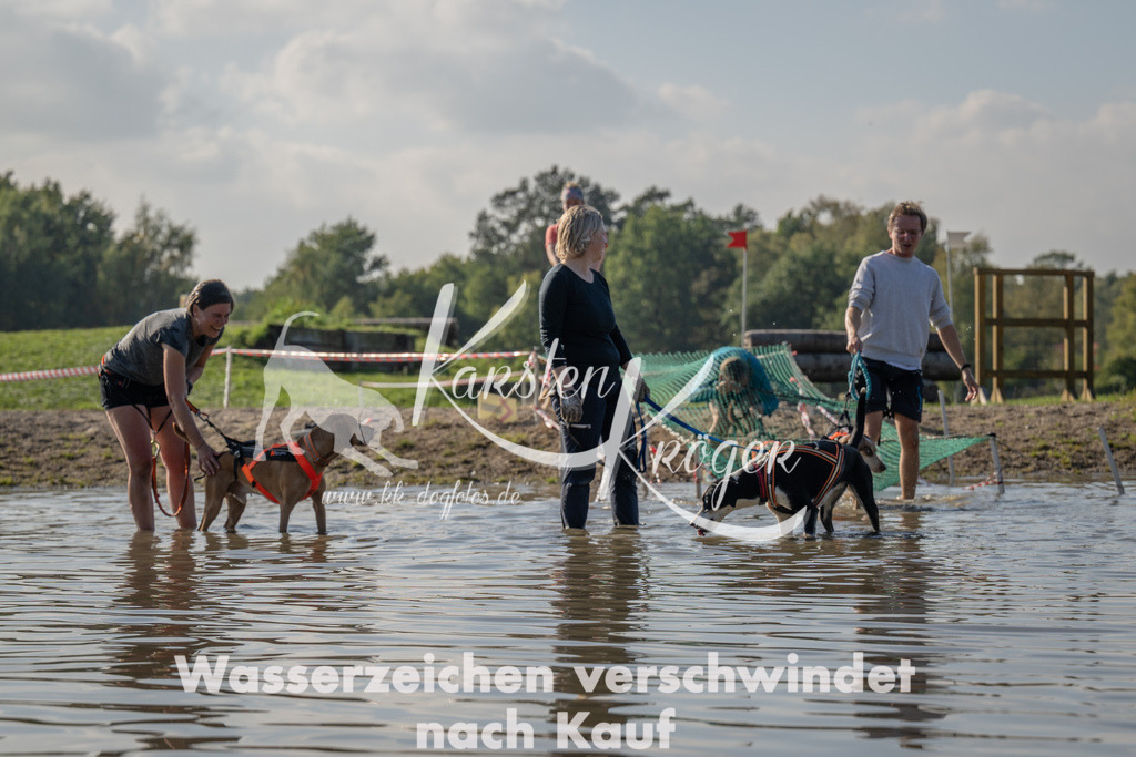 1419_ZZ92256 | kk-dogfotos