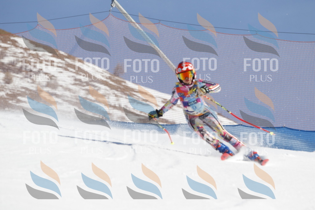 _U3G8766 | holidayphoto