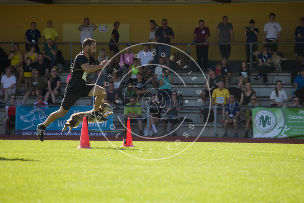 0L8A8657 | Hundefotografie, Tierfotograf, Pfotenfotografie, Fotoshooting Hund, Hunde Portrait, Hundesport, Hundeportraits, Heideshooting, Hunde, Sportfotograf, Hundefotograf, Turnierhundsport, THS,  - Realisiert mit Pictrs.com