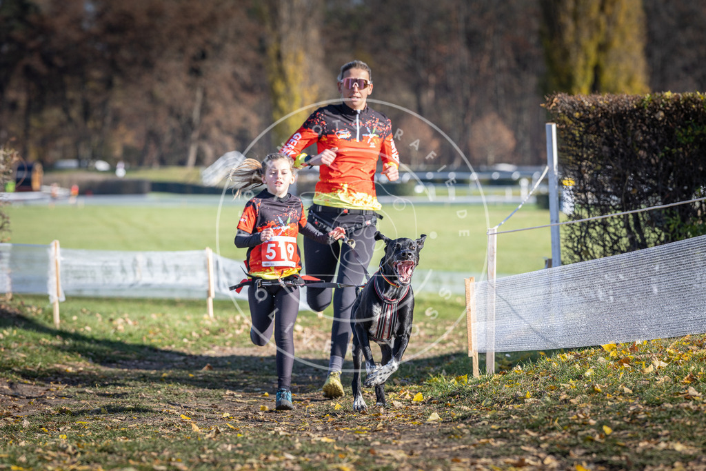 CaniXpix_DV3A8085 | Hundefotografie, Tierfotograf, Pfotenfotografie, Fotoshooting Hund, Hunde Portrait, Hundesport, Hundeportraits, Heideshooting, Hunde, Sportfotograf, Hundefotograf, Turnierhundsport, THS,  - Realisiert mit Pictrs.com