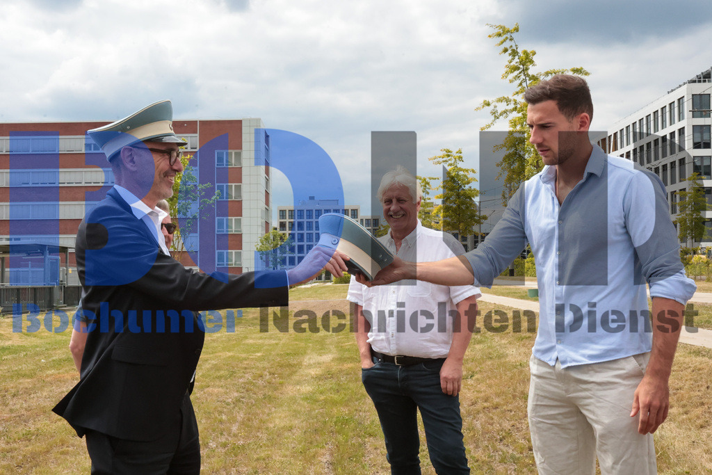 Eicheingrabung | Eicheingrabung - Realisiert mit Pictrs.com