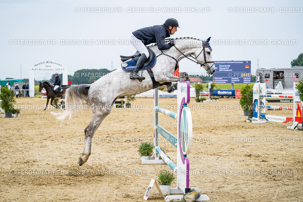 DSC07557 | Pferdegrafie