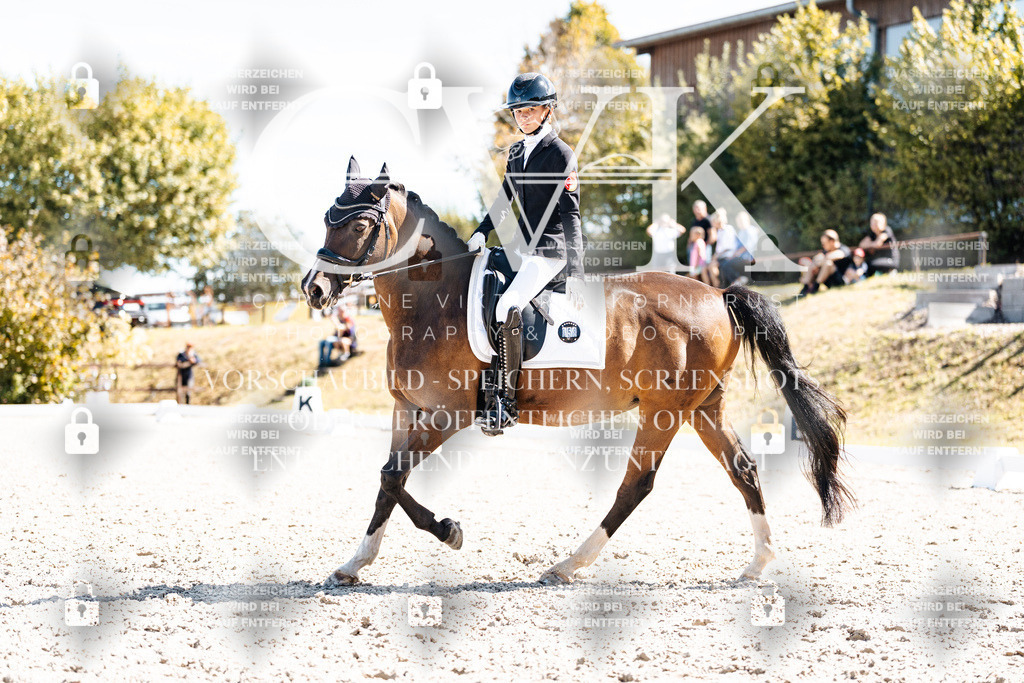CK909650 | Turnierfotografie Pferdefotografie Trier Rheinland-Pfalz Pferdesport Reitsport Tierfotografie Sportfotografie Pferdevideo Pferdevideografie Equestrianvideography equestrianphotography  - Realisiert mit Pictrs.com