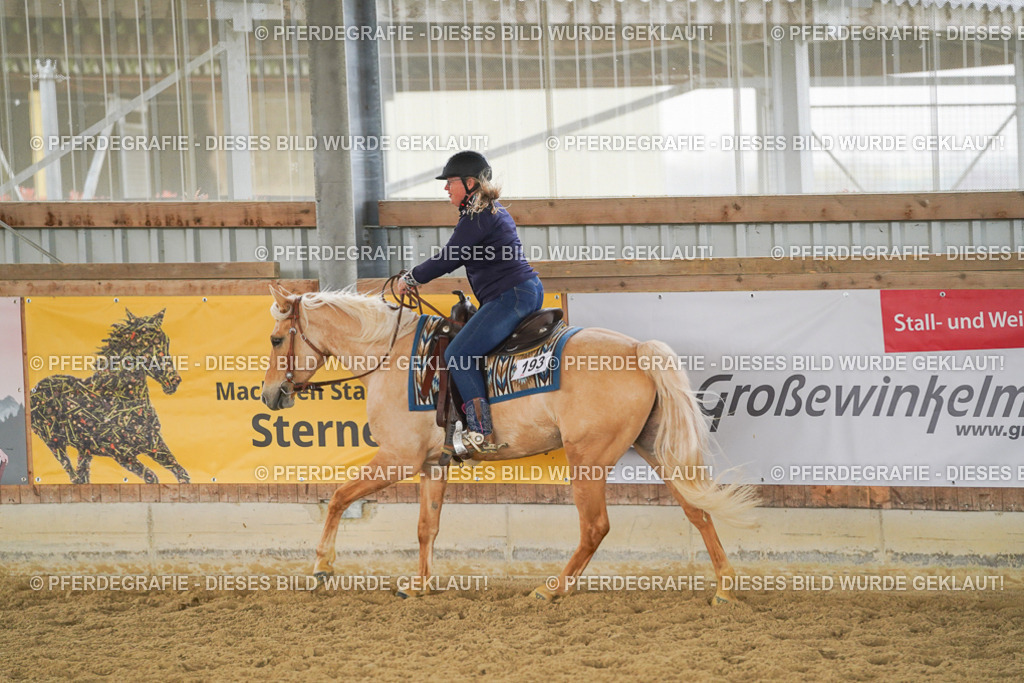 DSC06411 | Pferdegrafie