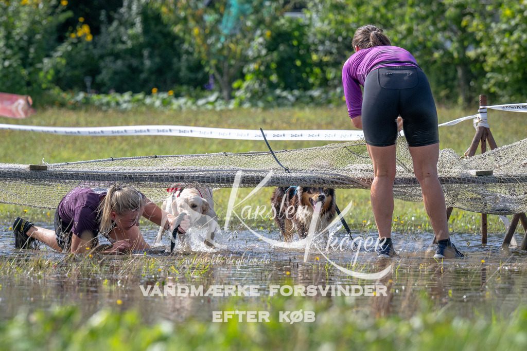 1137_ZZ90680 | kk-dogfotos