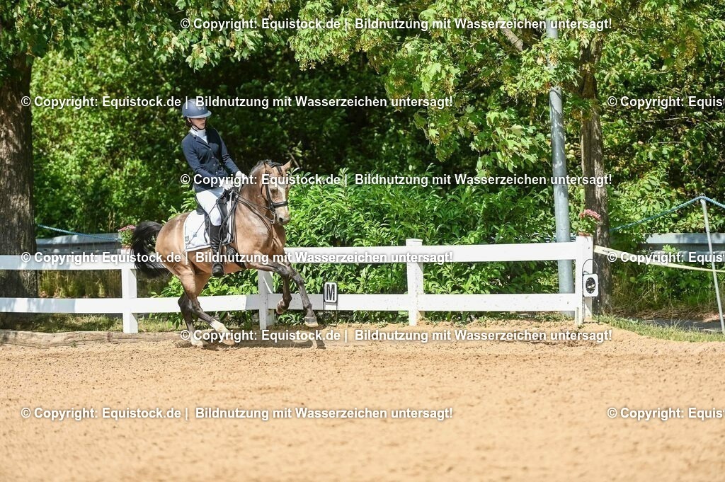 20230716_01_Dressurprüfung Kl.M_0222 | equistock
