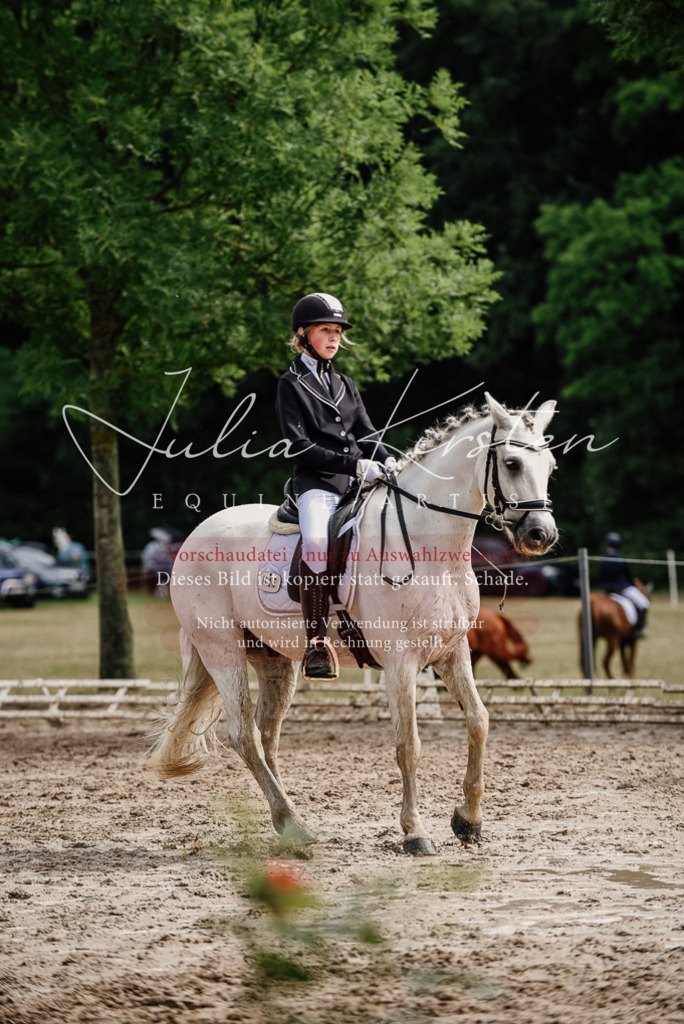 DSC_9483 | Pferde- und Turnierfotografie in Westsachsen. Pferdeportraits, Auftragszeichnungen und intuitive Kunst.