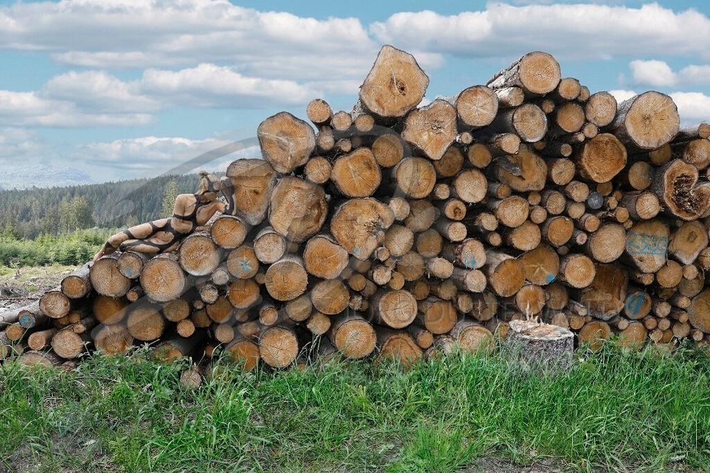 NatureArt-HOLZSTAPEL_0112 | Liegend auf dem schrägen Stapel | #003 | Modell: Liza | Foto: Tschiponnique Skupin - Realisiert mit Pictrs.com
