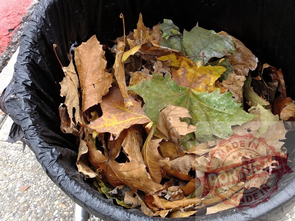 Fallen autumn leaves collecting in black garbage bag | Dried autumn leaves filling a black plastic garbage bag - Realized with Pictrs.com